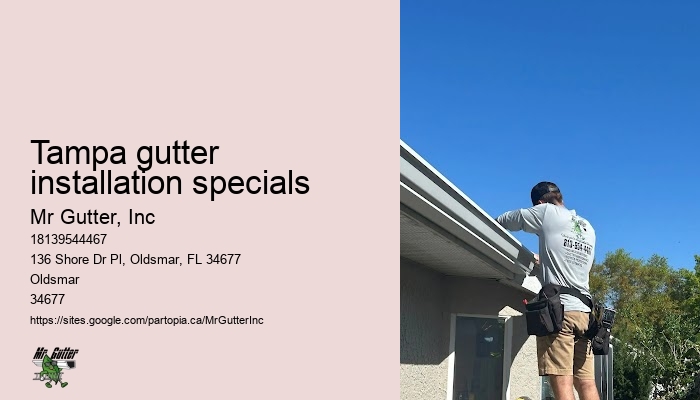 Affordable rain gutters Tampa gutter installation specials
