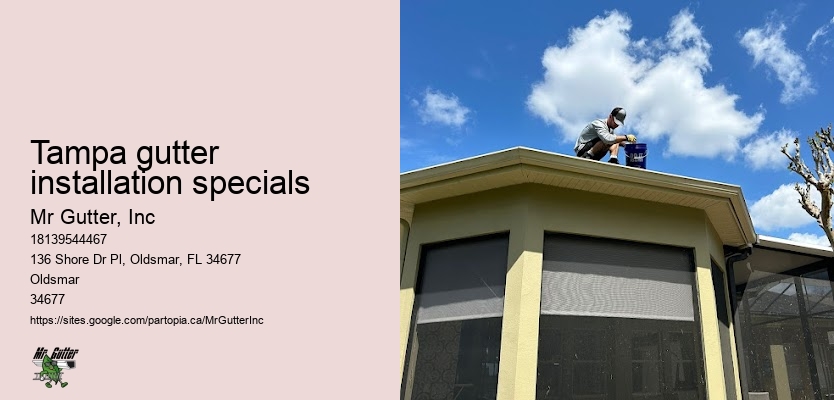 Best rain gutter installation Tampa gutter installation specials