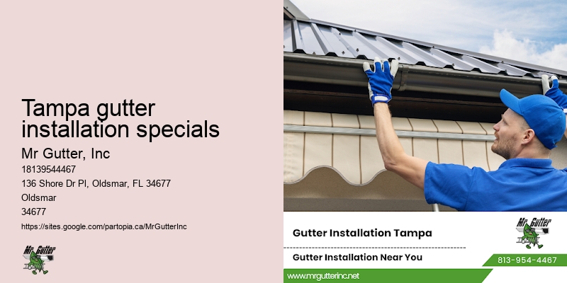 Tampa gutter installation specials gutter installation solutions