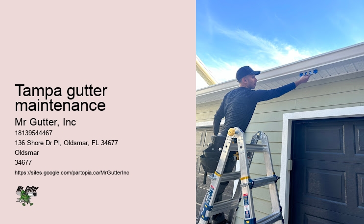 Reliable gutter services Tampa gutter maintenance