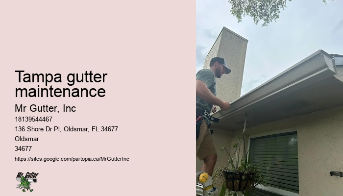 Tampa gutter maintenance gutter repair experts