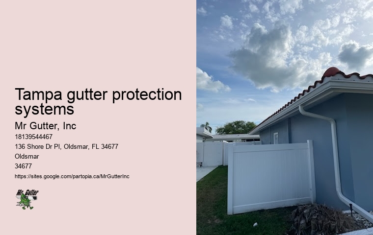 Comprehensive gutter services Tampa gutter protection systems