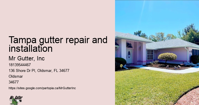 Tampa gutter repair and installation custom gutter solutions