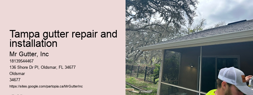 Top gutter maintenance Tampa gutter repair and installation