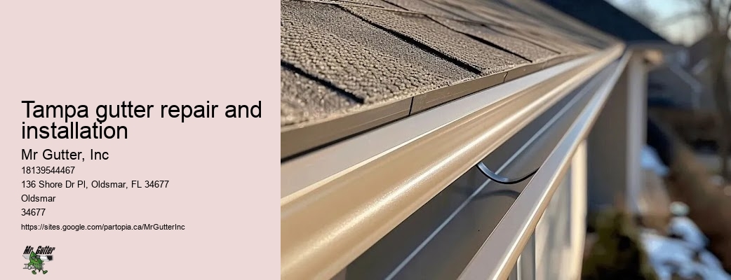 Gutter services near me Tampa gutter repair and installation