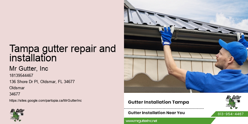 Tampa gutter repair and installation gutter guards installation