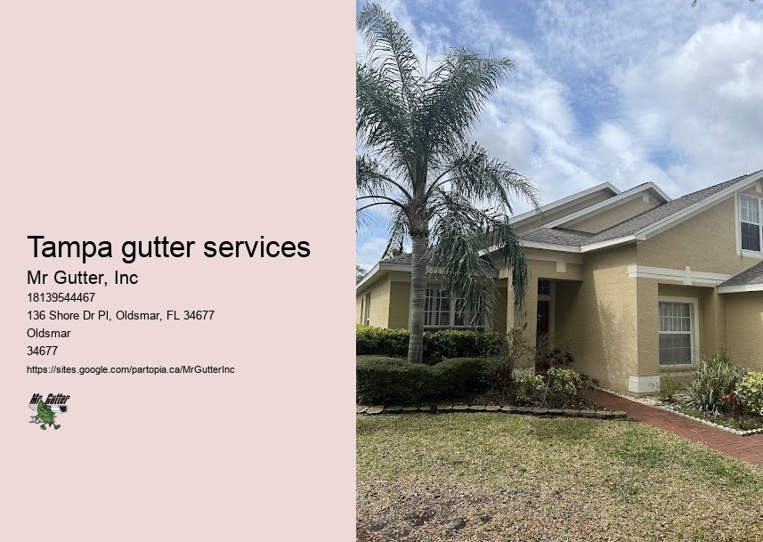 Emergency gutter installation Tampa gutter services