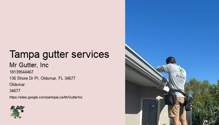 Tampa gutter services gutter installation specials