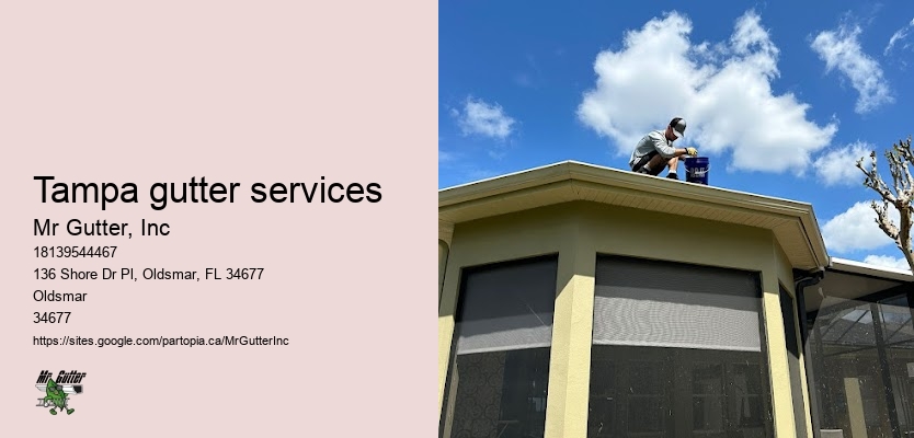 Gutter installation for homes Tampa gutter services