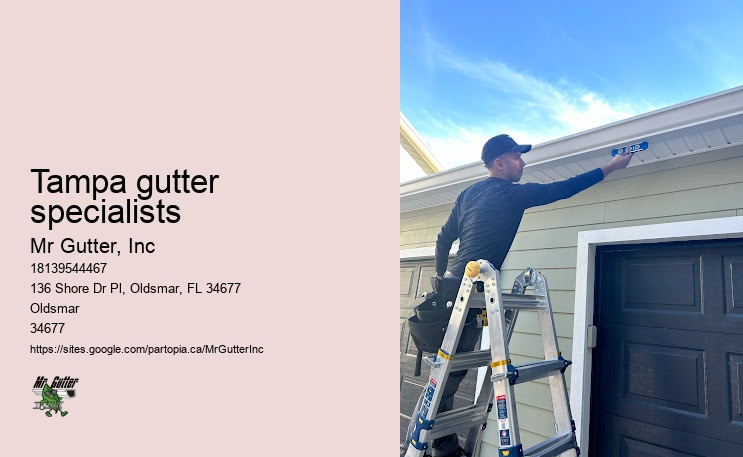 Local seamless gutter installation Tampa gutter specialists