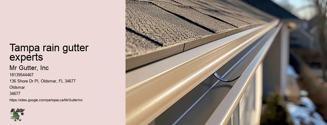 Top-rated gutter replacement Tampa rain gutter experts