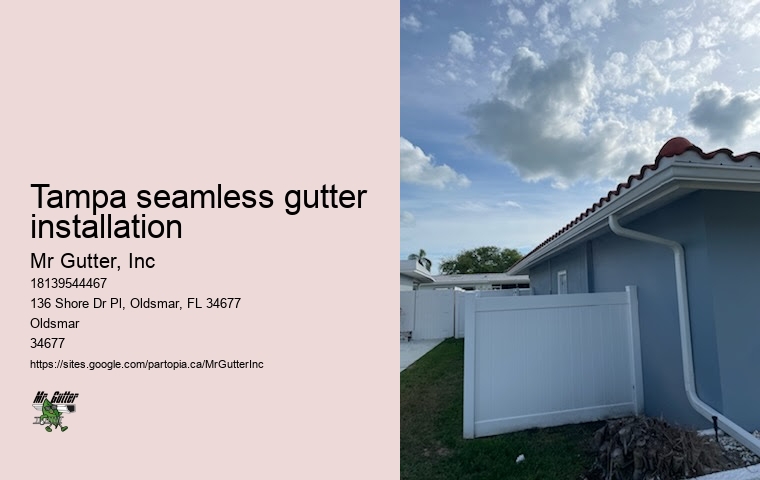 Best seamless gutter installers Tampa seamless gutter installation
