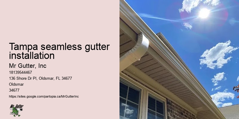 Tampa seamless gutter installation gutter protection installation