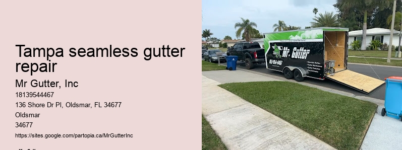 Tampa seamless gutter repair gutter and roofing services