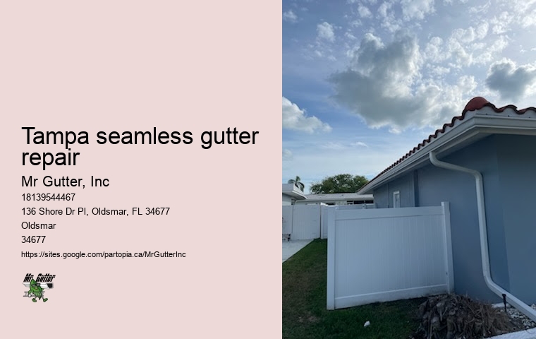 Expert gutter installers Tampa seamless gutter repair