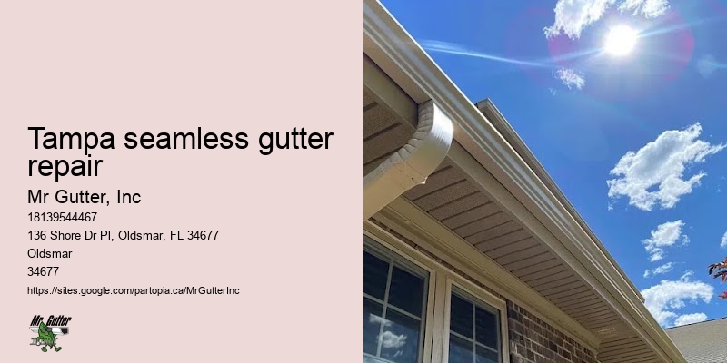 Local rain gutter installers Tampa seamless gutter repair