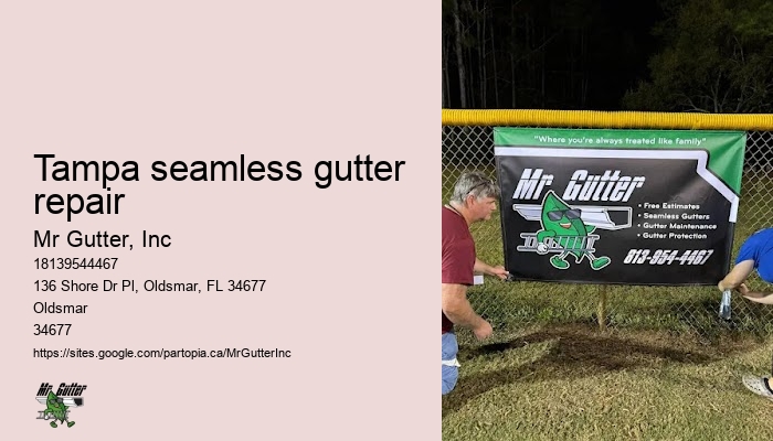 Tampa seamless gutter repair residential gutter services