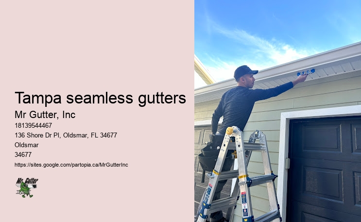 Expert gutter installation Tampa seamless gutters