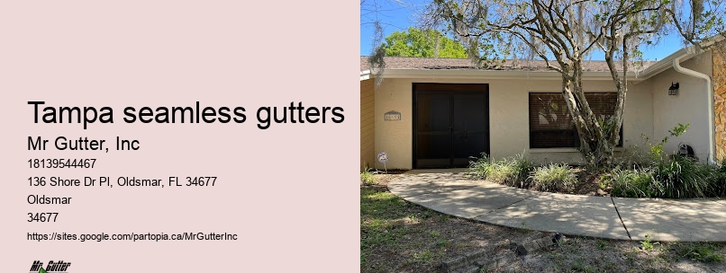 Efficient gutter installation Tampa seamless gutters