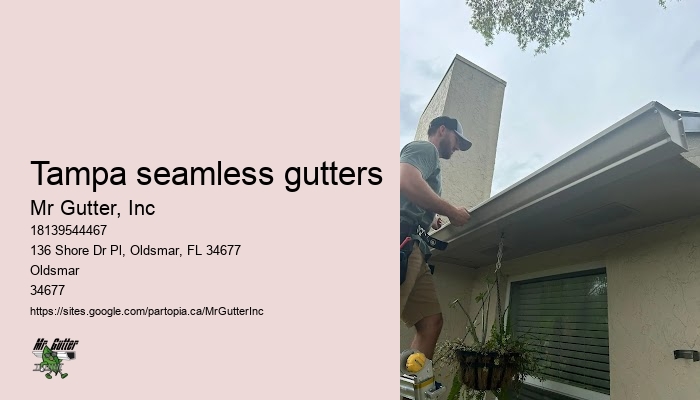 Local gutter installation Tampa seamless gutters
