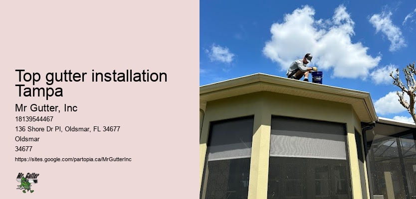 Gutter installation companies Top gutter installation Tampa
