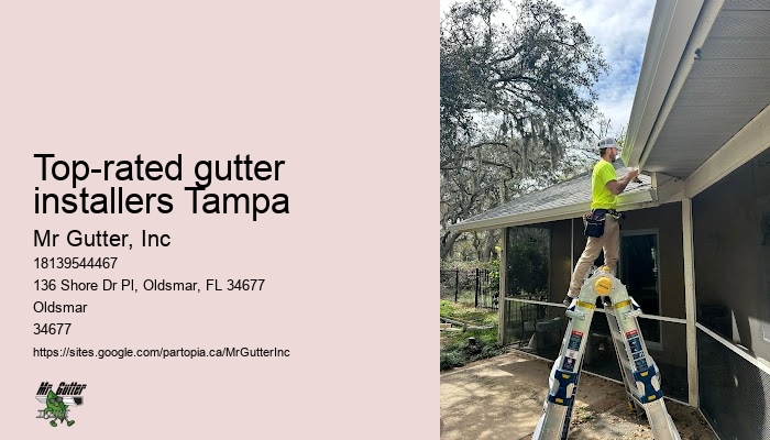 Rain gutter replacement Top-rated gutter installers Tampa