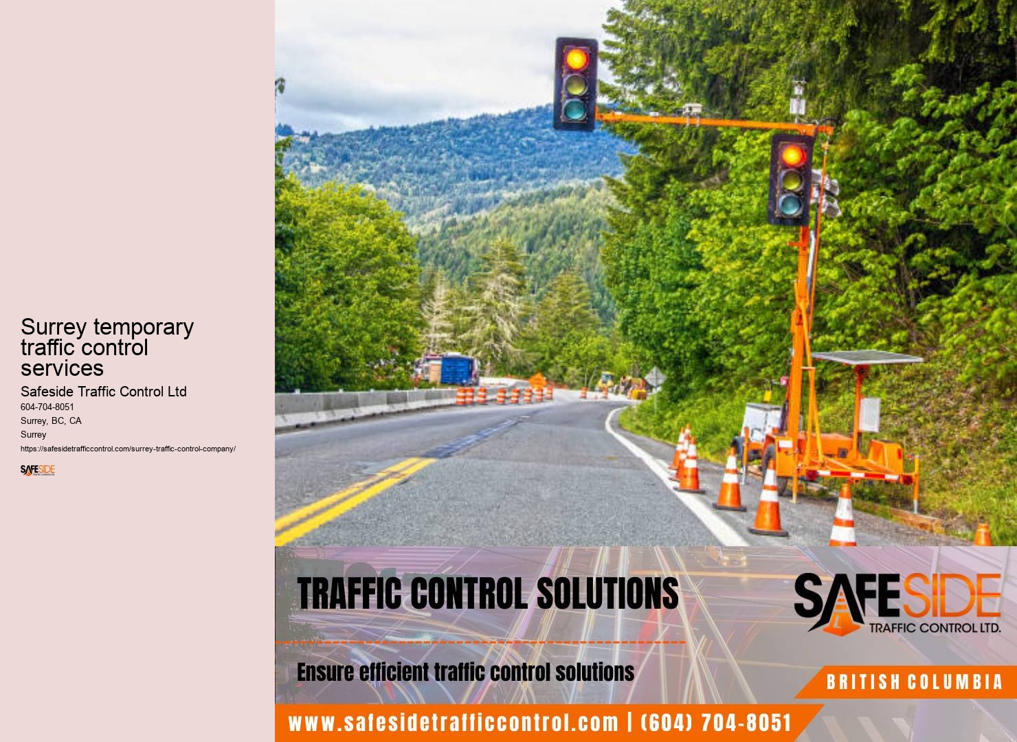 Surrey traffic control algorithm validation audits